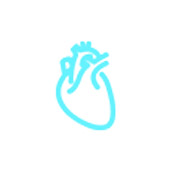 جهاز الموجات فوق الصوتية المحمولة المحمولة تطبيق القلب